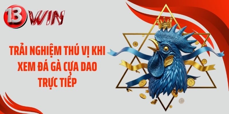 Trải nghiệm thú vị khi xem đá gà cựa dao trực tiếp